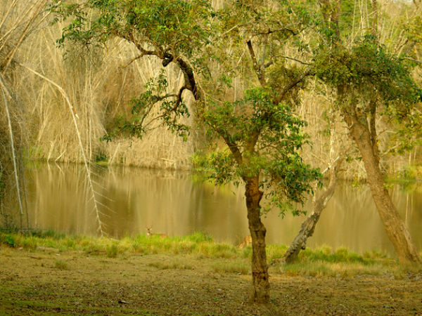 അടിസ്ഥാന വിവരങ്ങള്‍