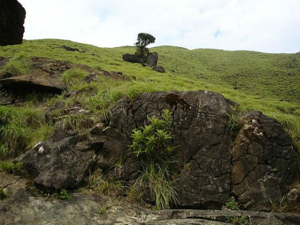 06. പുഷ്പഗിരി ട്രെക്ക്