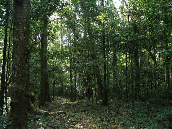 അടിസ്ഥാന വിവരങ്ങള്‍