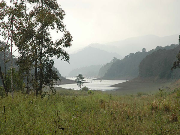 07. തേക്കടി