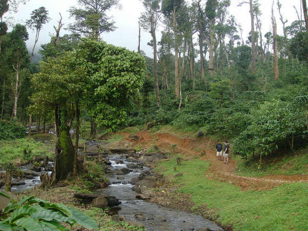 കൂര്‍ഗിലെ കാഴ്ചകള്‍