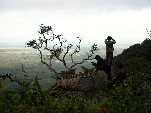 05. ബി ആര്‍ ഹില്‍സ്