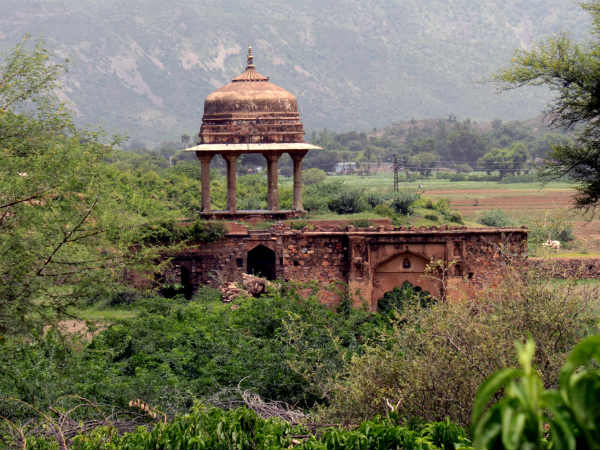 കഥ ഇതാണ്