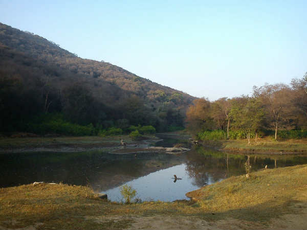 സ‌രിസ്കയേക്കുറിച്ച് വായിക്കാം