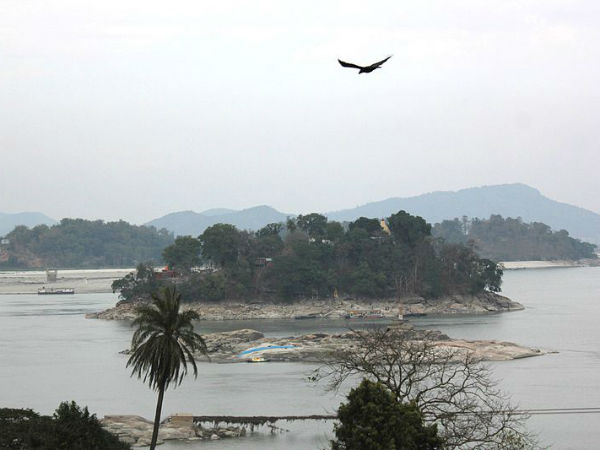 പീക്കോക്ക് അയലന്‍ഡ്