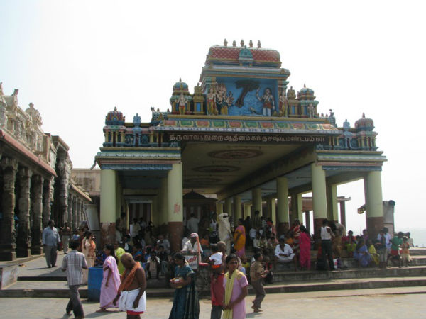 സുനാമി തൊടാതെ