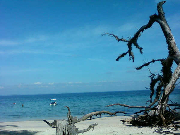 ഹാവ്‌ലോക്കില്‍ നിന്ന് തിരികെ