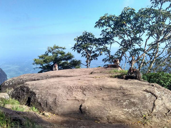  Malayalam Travel Blog on Nelliyampathy Trip