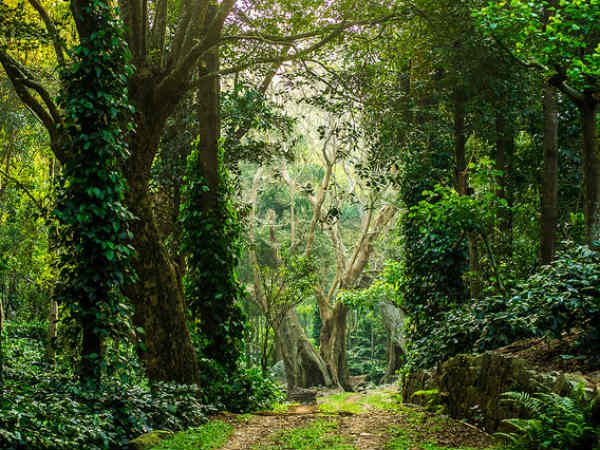 02. തി‌രക്കും ബഹളവും ഇല്ലാത്ത ഒരു സ്ഥലം