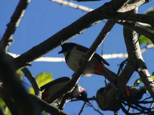04. വന്യജീവികളെ കാണാം