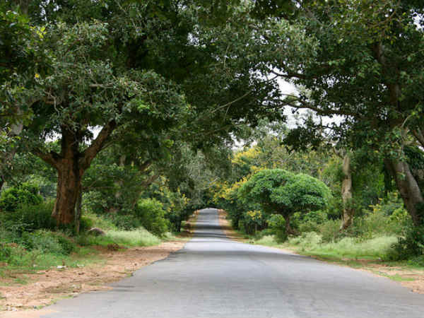 02. കൂര്‍ഗ്, കര്‍ണാടക