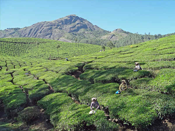 05. ദേവികുളം, കേരളം