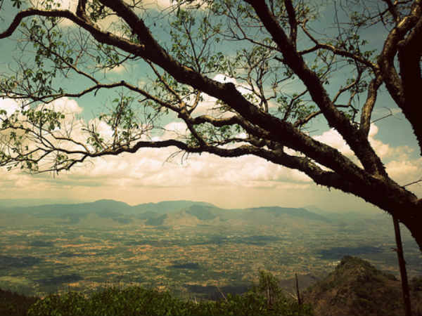 07. ഏര്‍ക്കാട്, തമിഴ്നാട്