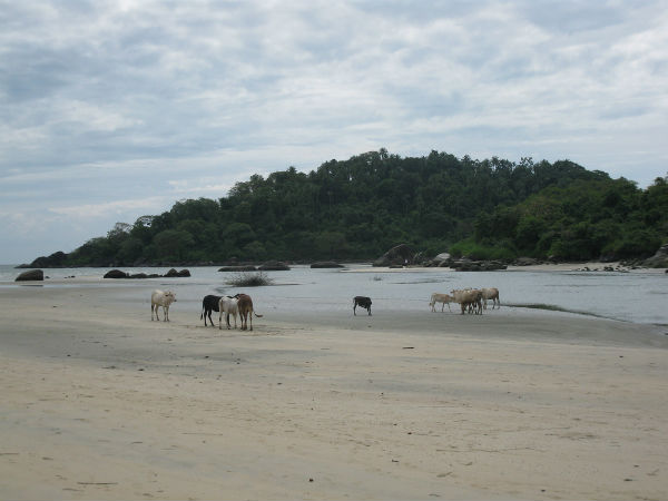 കൂടുതല്‍ ചിത്രങ്ങള്‍