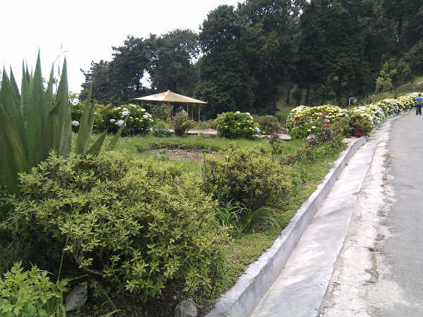 11. ദിയോളോ ഹില്‍സ്