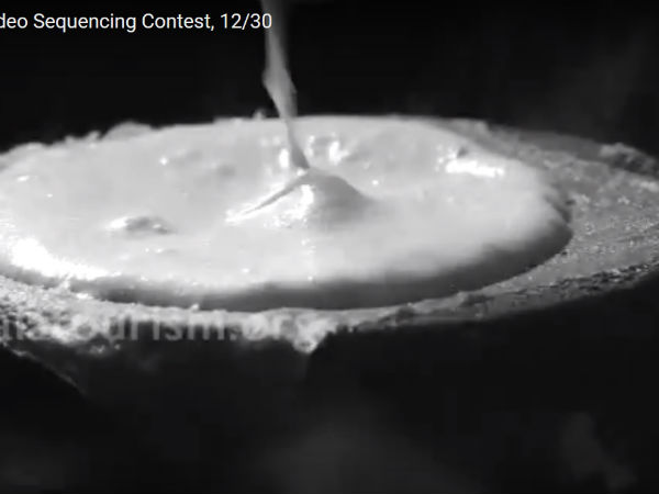 കേടുവരാത്ത ഇഡ്ലി