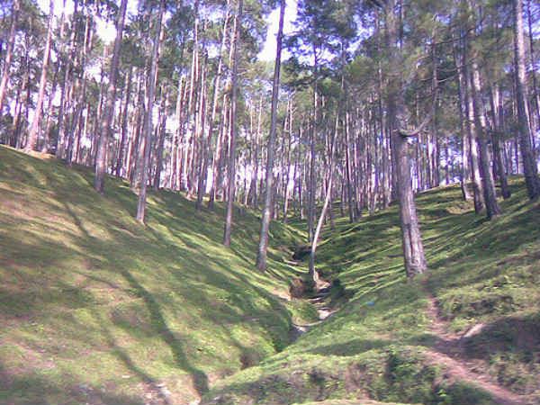 08. ആക്റ്റിവിറ്റികള്‍