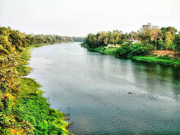 19. ചാലക്കുടി