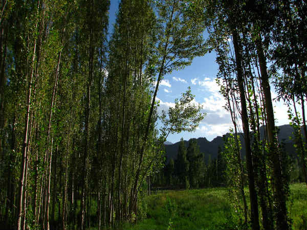 05. വനമേഖലയിലെ ക്യാമ്പിംഗിനേക്കുറിച്ച്