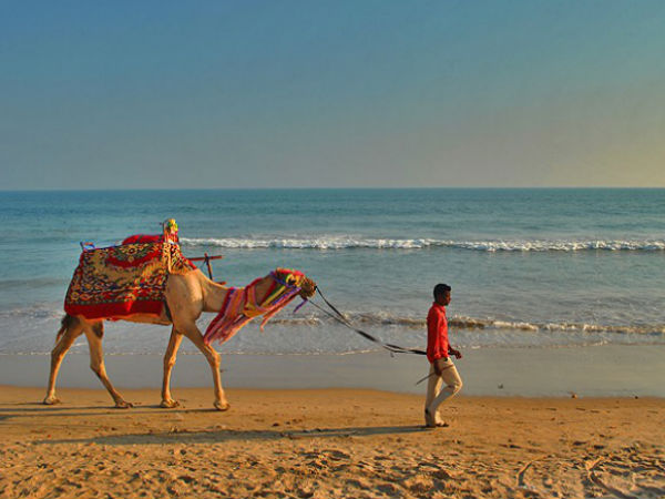 Top 5 Beaches in Odisha