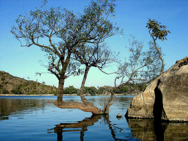 05. മൗണ്ട് അബു സമ്മര്‍ ഫെസ്റ്റിവല്‍, മൗണ്ട് അബു