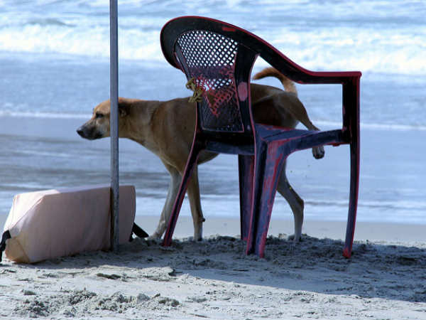 05. തു‌റിച്ച് നോക്കുന്ന പുരുക്ഷന്മാര്‍