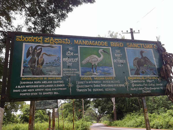 07. മന്ദഗഡ്ഡെ പക്ഷിസങ്കേതം