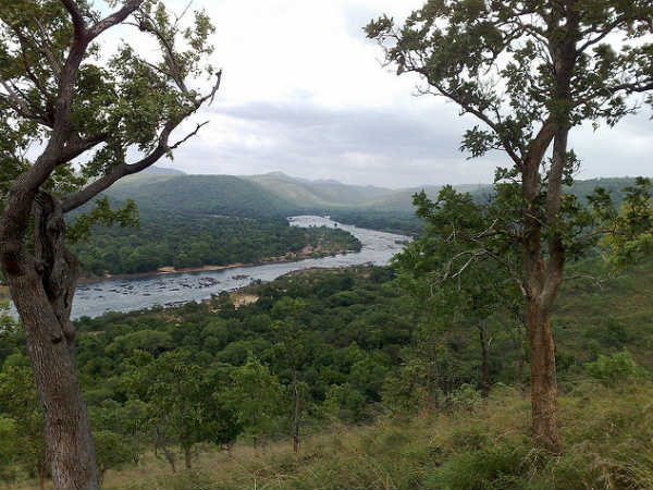 10. ഗാലിബോര്‍