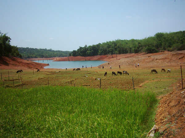 കൂടുതല്‍ ചിത്രങ്ങള്‍