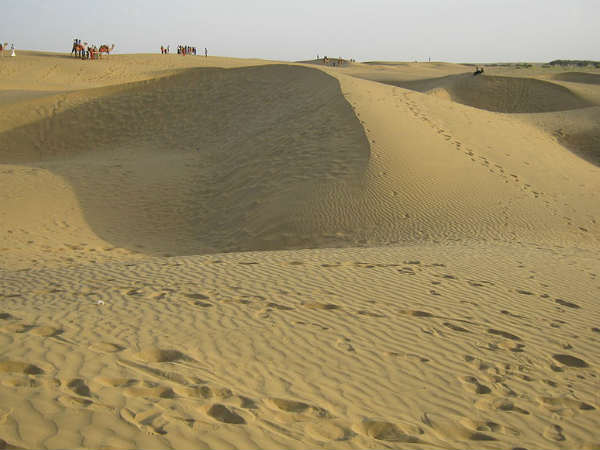 ഖുറിയിലെ മരുഭൂമിയും ഒട്ടകങ്ങളും!