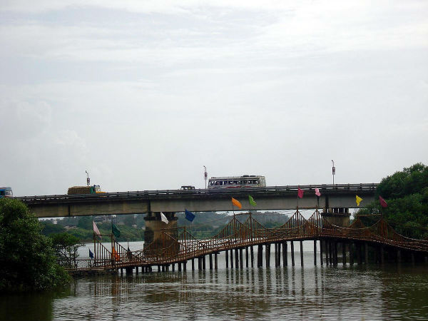 കണ്ണൂരിലെ വിവാദമായ കണ്ടല്‍പാര്‍ക്ക്