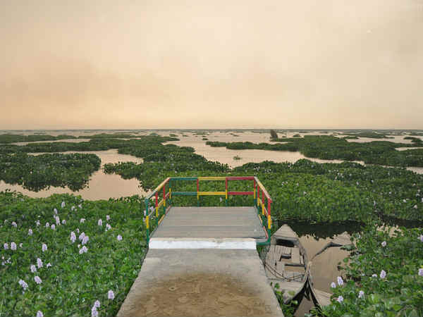 08. ഹരികെ തടാകം, പഞ്ചാബ്