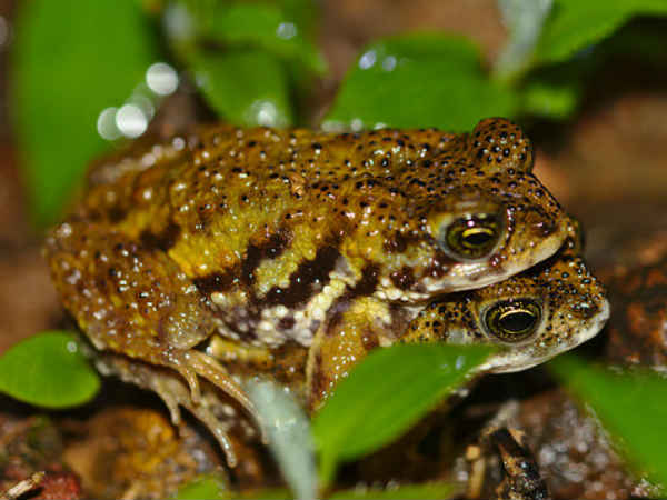 മഴക്കാല കാഴ്ചകള്‍