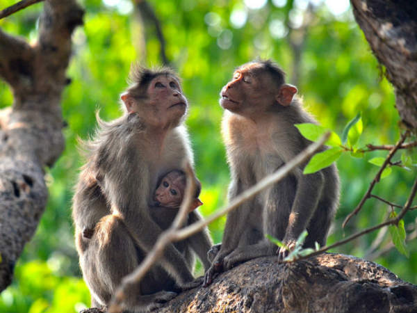 മഴക്കാല കാഴ്ചകള്‍