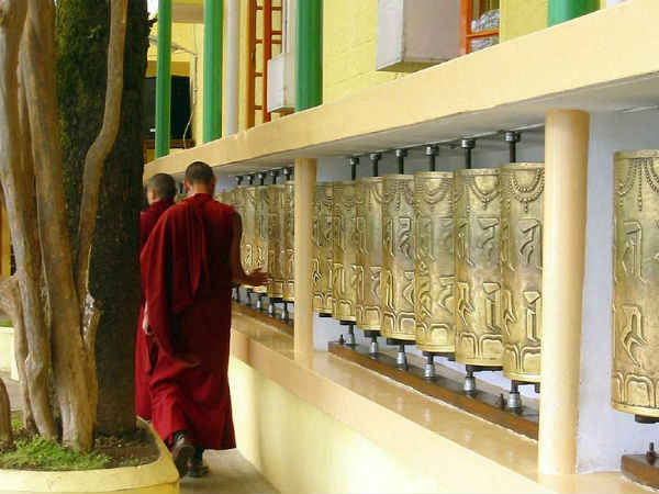 ലാമമാരുടെ നാട്