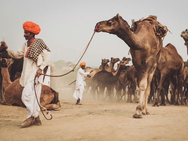 12. പുഷ്കര്‍ (പ്രാചീന നഗരം)