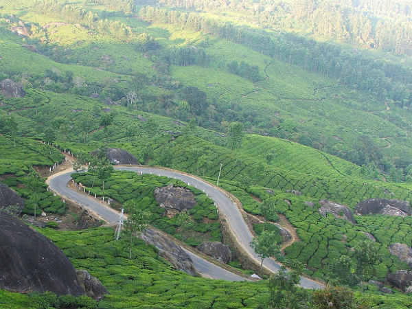 15. മൂന്നാര്‍ (പ്രകൃതി ഭംഗി)