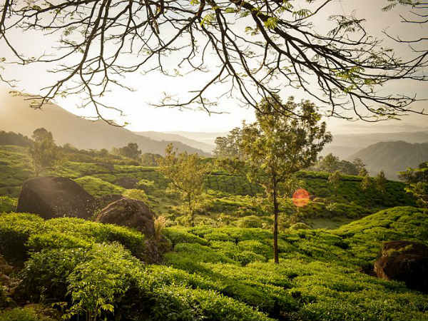 ഇടുക്കിയിലെ ഹണിമൂൺ പറുദീസകൾ