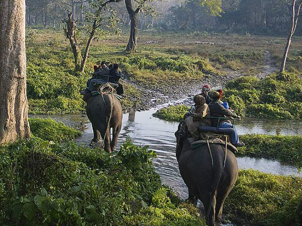 സവാ‌രി ഗിരി ഗി‌രി നട‌ത്താൻ ചില മിണ്ടാപ്രാണികൾ