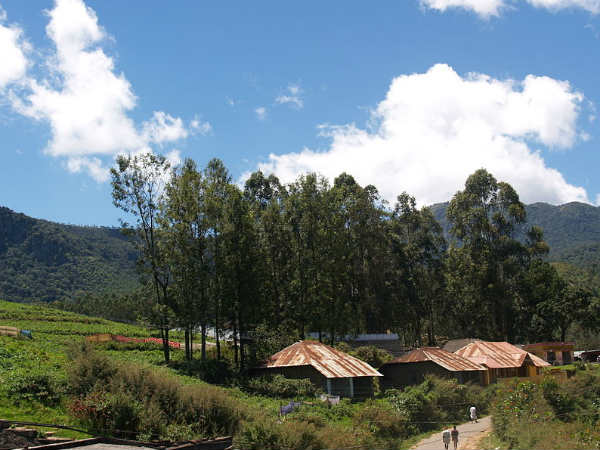 ഇടുക്കിയിലെ ഹണിമൂൺ പറുദീസകൾ