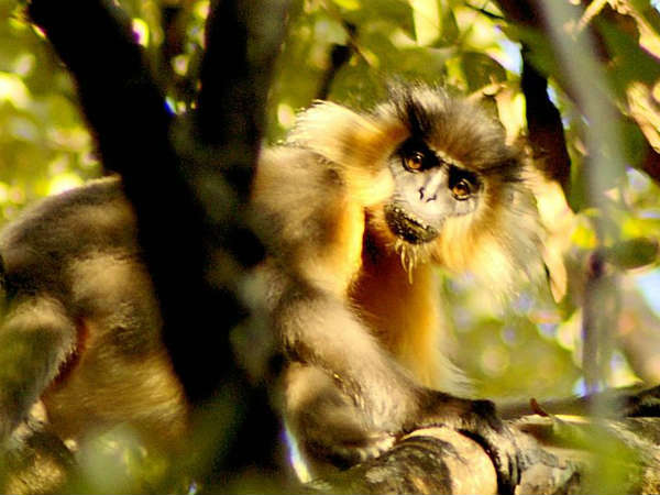 മനുഷ്യര്‍ അപകടകാരികളാകുന്ന 4 ടൂറിസ്റ്റ് കേ‌ന്ദ്രങ്ങള്‍