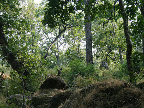ഡല്‍ഹിയിലെ വീക്കെന്‍ഡുകളി‌ല്‍ ഇവിടെയിരിക്കാം