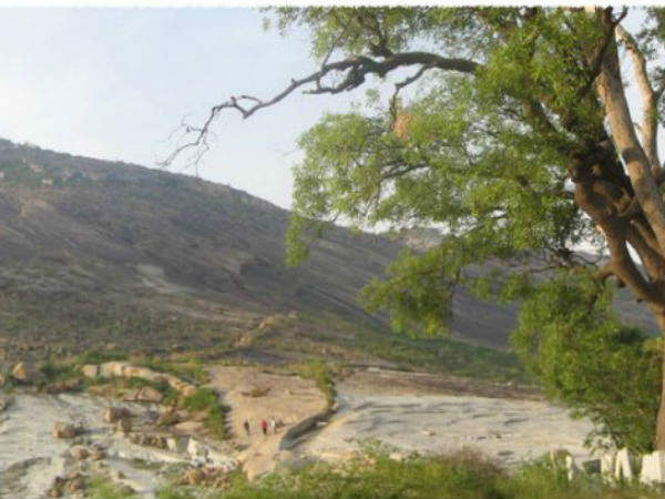 സാഹസിക കേന്ദ്രം