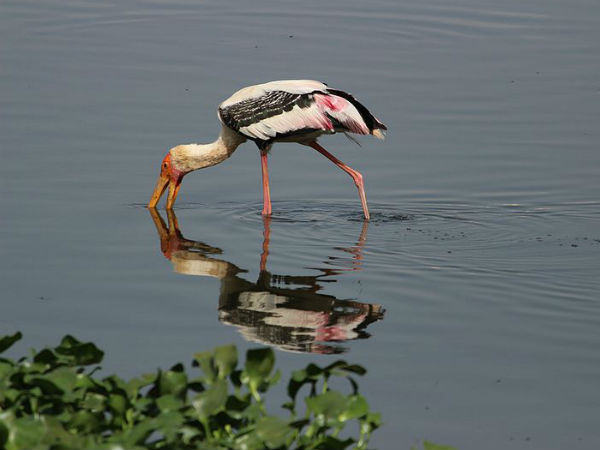 01. ചരിത്രം