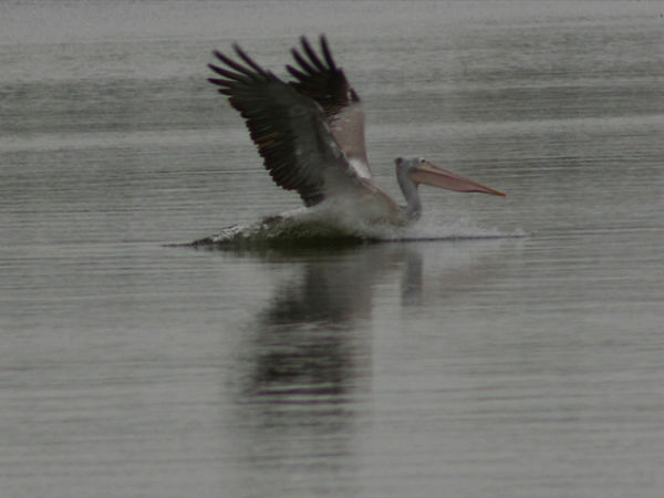 05. അസ്തമയ കാഴ്‌‌ച