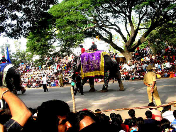 സ്വര്‍‌ണ്ണ അമ്പാ‌രി