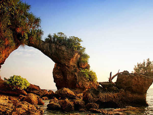 കോറല്‍ ബ്രിഡ്ജ്