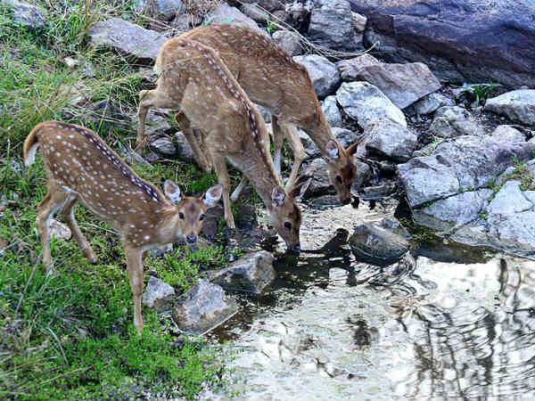 സര്‍ക്കാര്‍ കണക്കില്‍ പത്തൊന്‍പതാമത്