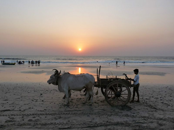 കൊങ്കണിലെ പ്രശസ്തമായ 7 ബീച്ചുകൾ