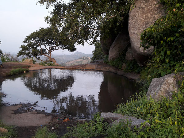 നേറ്റീവ്‌‌പ്ലാനറ്റ് ‌പ്രിസ്മ കോൺടെസ്റ്റ്